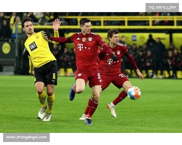 拜仁慕尼黑主场球场名称解析及其背后深刻的文化与象征意义