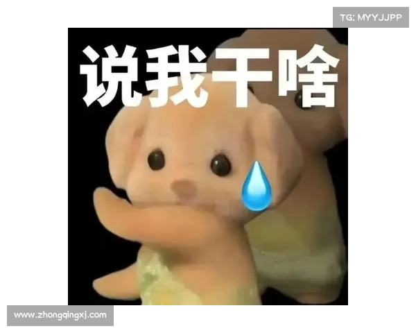 如何巧妙运用11-11表情包森贝儿系列让你的聊天更有趣又生动