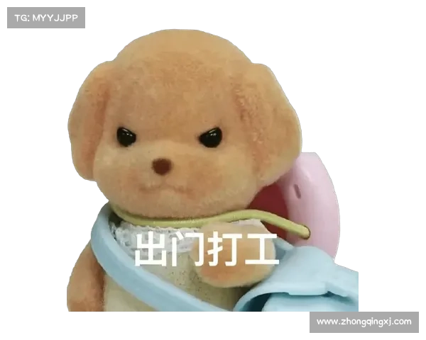 掌握灵活运用！如何玩转森贝儿11-11表情包